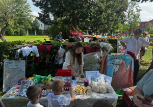 Zdjęcie 8 na 30