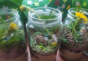 Na zdjęciu widać słoiki wypełnione ziemią i materiałem naturalnym, symbolizują Las w słoiku.